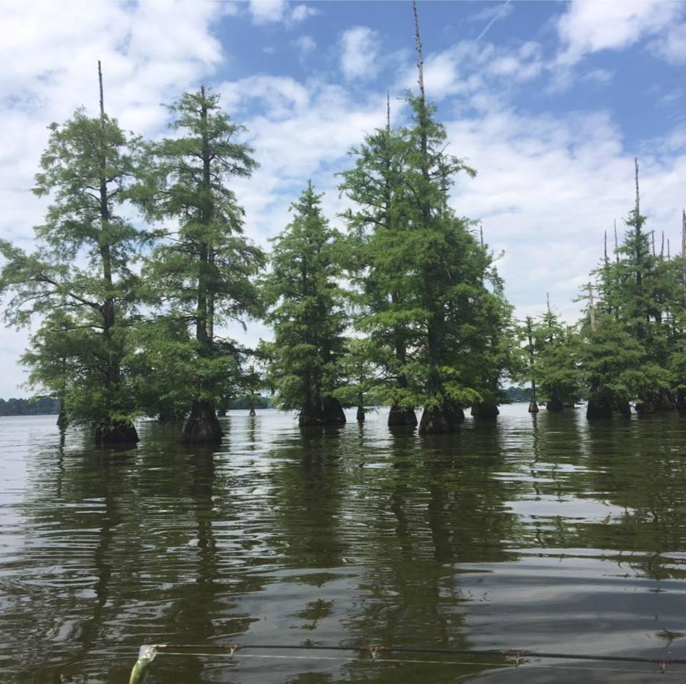 Meet your Posher, Thelma